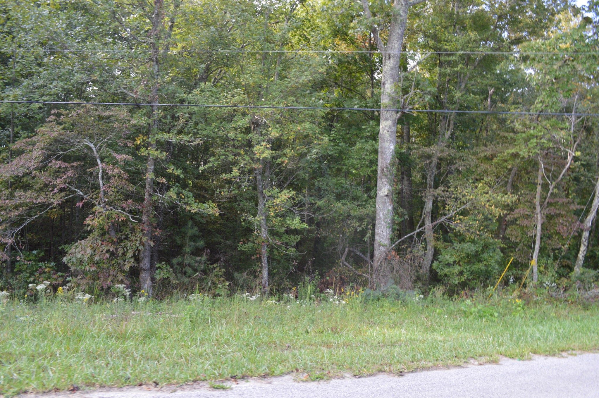 3 Myers Road Pikeville, TN 37367 - Photo 1 of 7 Gallery Image 1