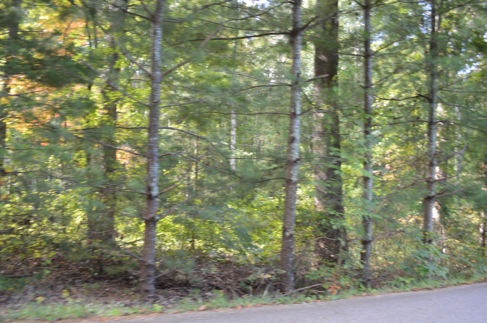 3 Myers Road Pikeville, TN 37367 - Photo 5 of 7 Gallery Image 5