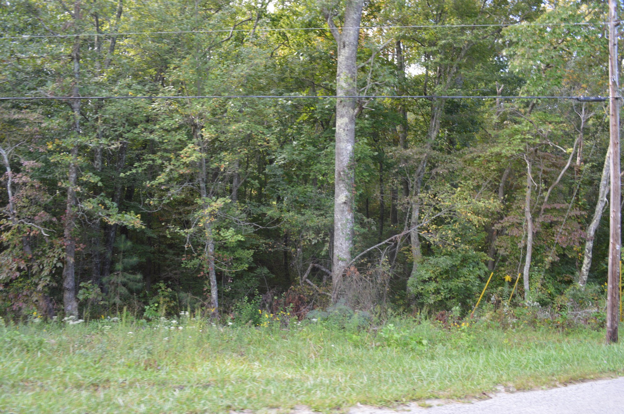 3 Myers Road Pikeville, TN 37367 - Photo 7 of 7 Gallery Image 7