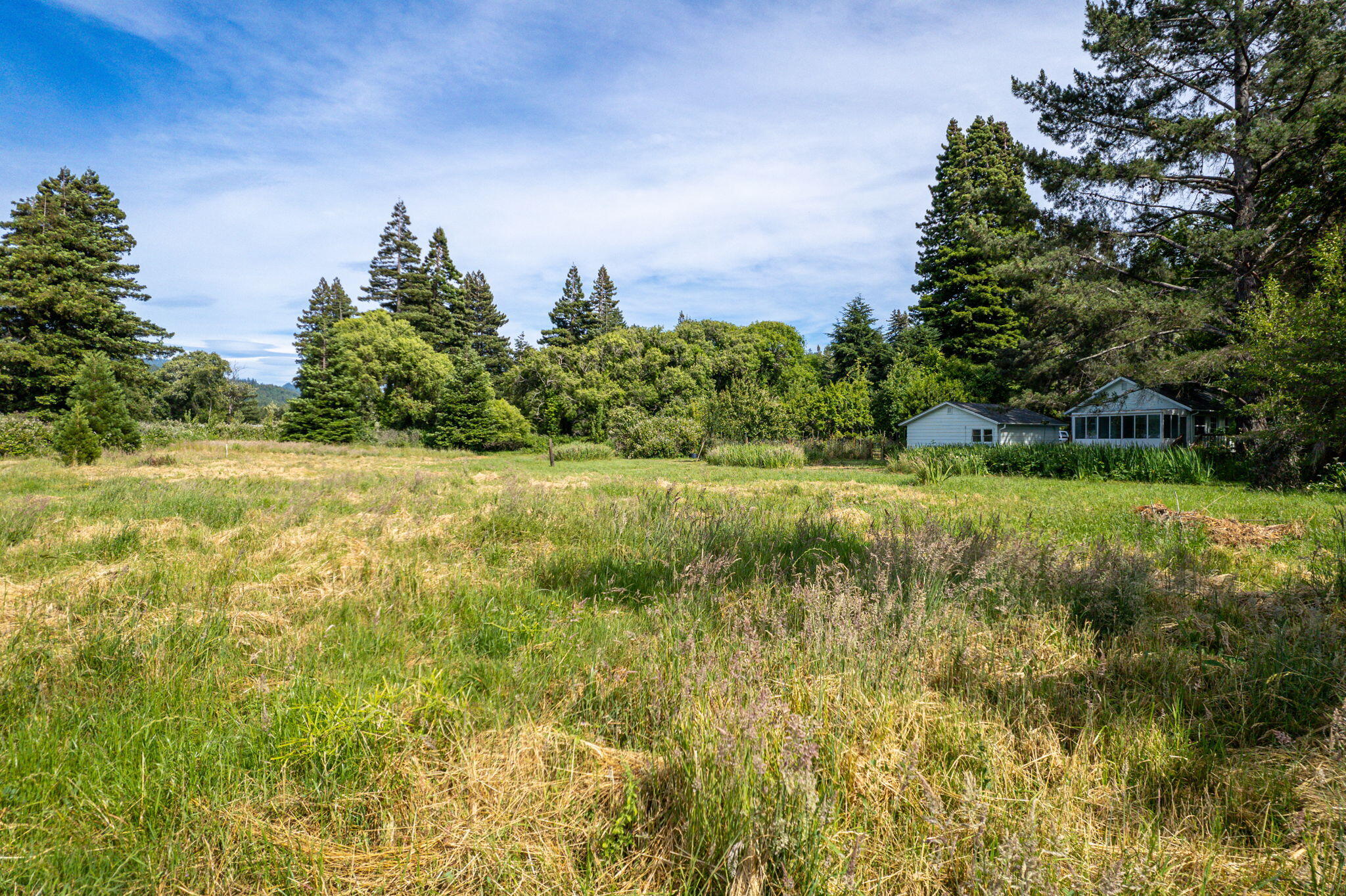 1557 Holmes Flat Road Redcrest, CA 95569 - Photo 36 of 57 42-web-or-mls-68
