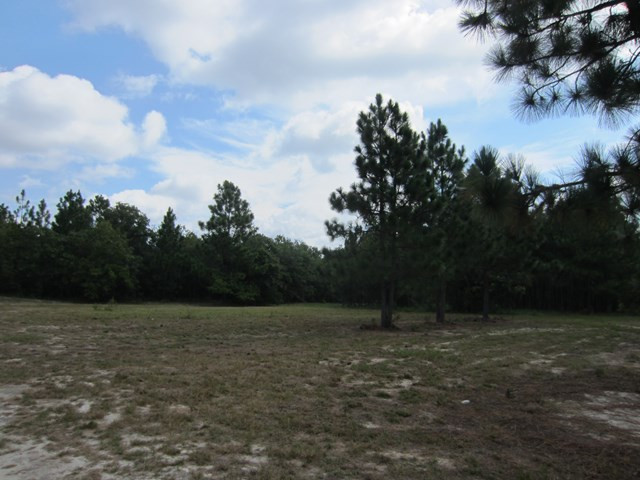 962 Kedron Church Road Aiken, SC 29805 - Photo 23 of 32