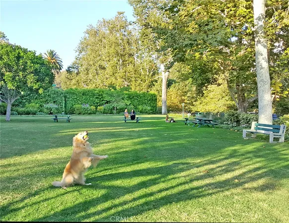 an aerial view of a house with a lake view