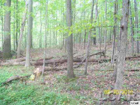 11400 North Adams Road North Adams, MI 49262 - Photo 6 of 11 951927-5.JPG