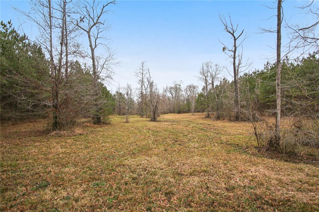 0 Kat Kaw Road Franklinton, LA 70438 - Photo 12 of 21 Gallery Image 12