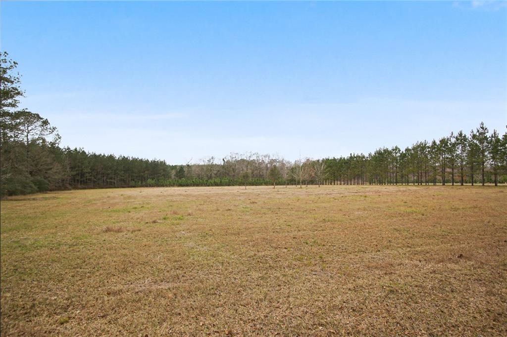 0 Kat Kaw Road Franklinton, LA 70438 - Photo 18 of 21 Gallery Image 18
