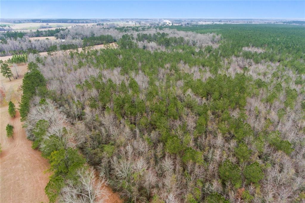 0 Kat Kaw Road Franklinton, LA 70438 - Photo 8 of 21 Gallery Image 8