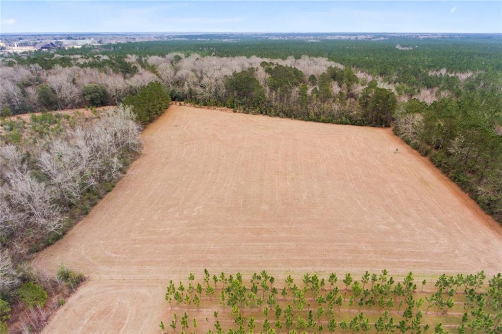 0 Kat Kaw Road Franklinton, LA 70438 - Photo 10 of 21 Gallery Image 10