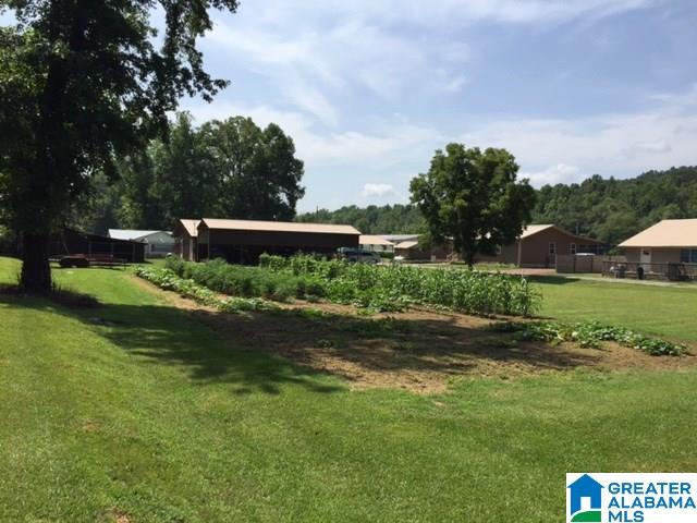 812 Riverview Road Quinton, AL 35130 - Photo 45 of 46
