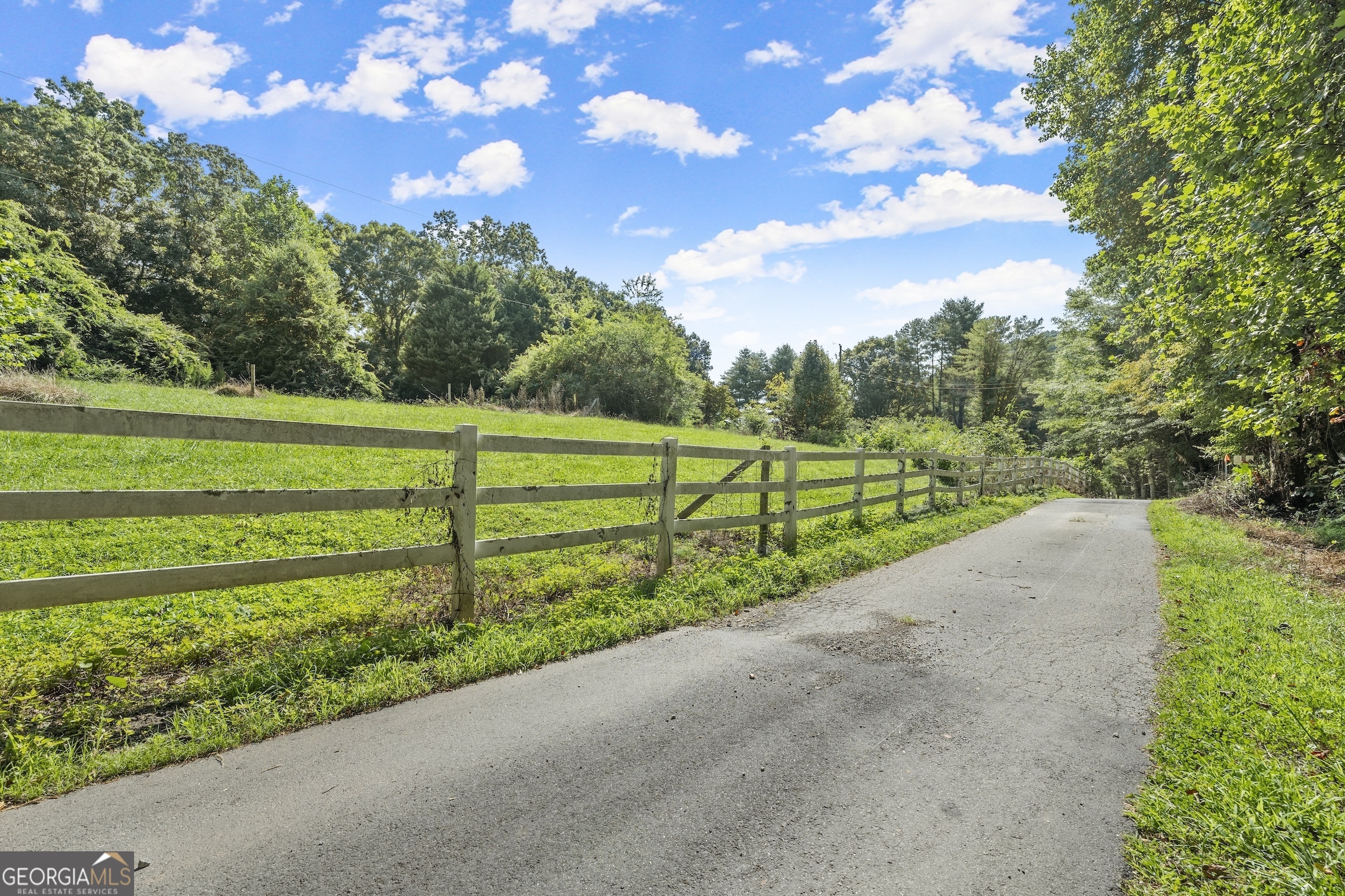 a view of road with grass and a trees