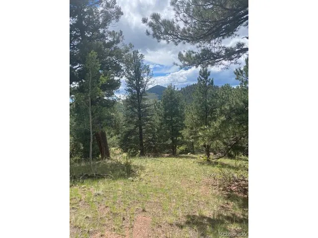 $79,000 | 216 Troy Drive, Cripple Creek, CO 80813