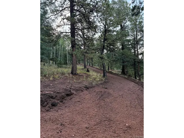 $79,000 | 216 Troy Drive, Cripple Creek, CO 80813