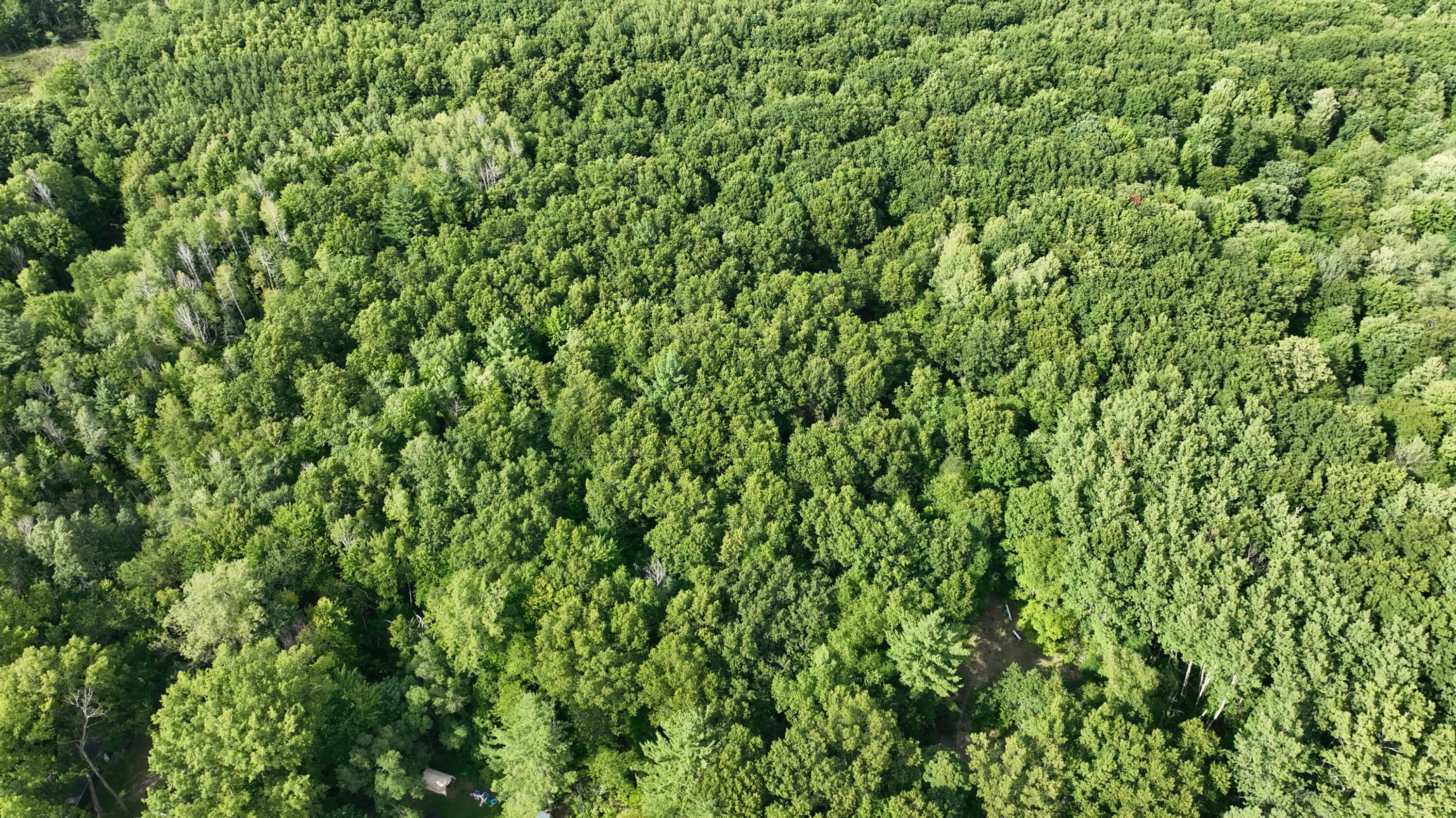 14308 Church Road Howard City, MI 49329 - Photo 11 of 33 DJI_0422.MP4.00_01_06_21.Still003