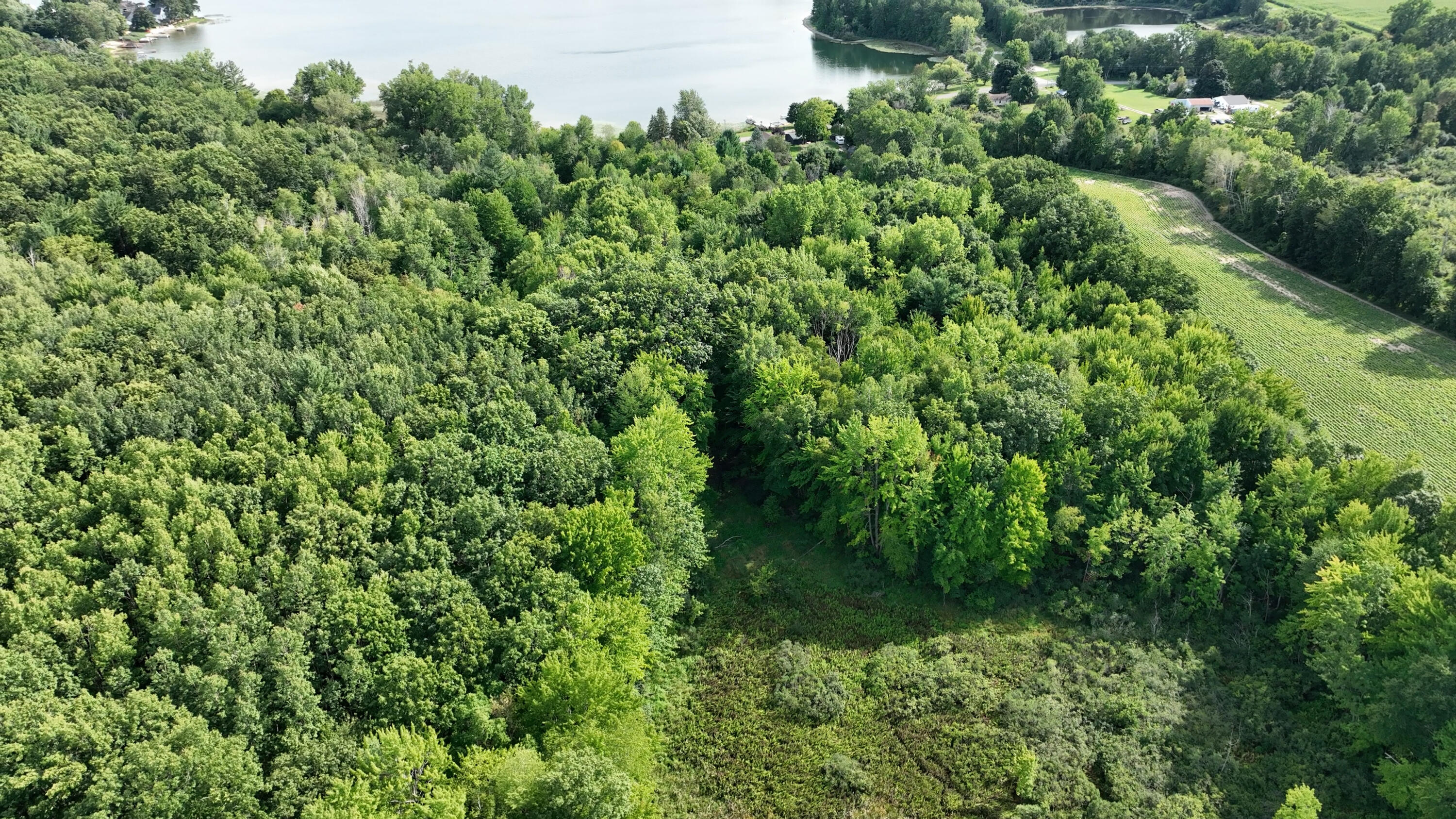 14308 Church Road Howard City, MI 49329 - Photo 12 of 33 DJI_0423.MP4.00_00_19_51.Still001