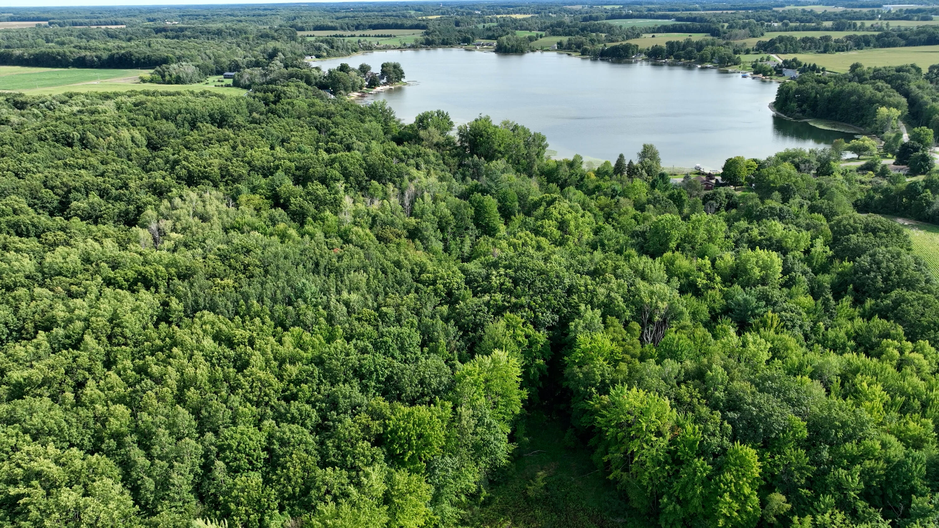 14308 Church Road Howard City, MI 49329 - Photo 13 of 33 DJI_0423.MP4.00_00_29_52.Still002