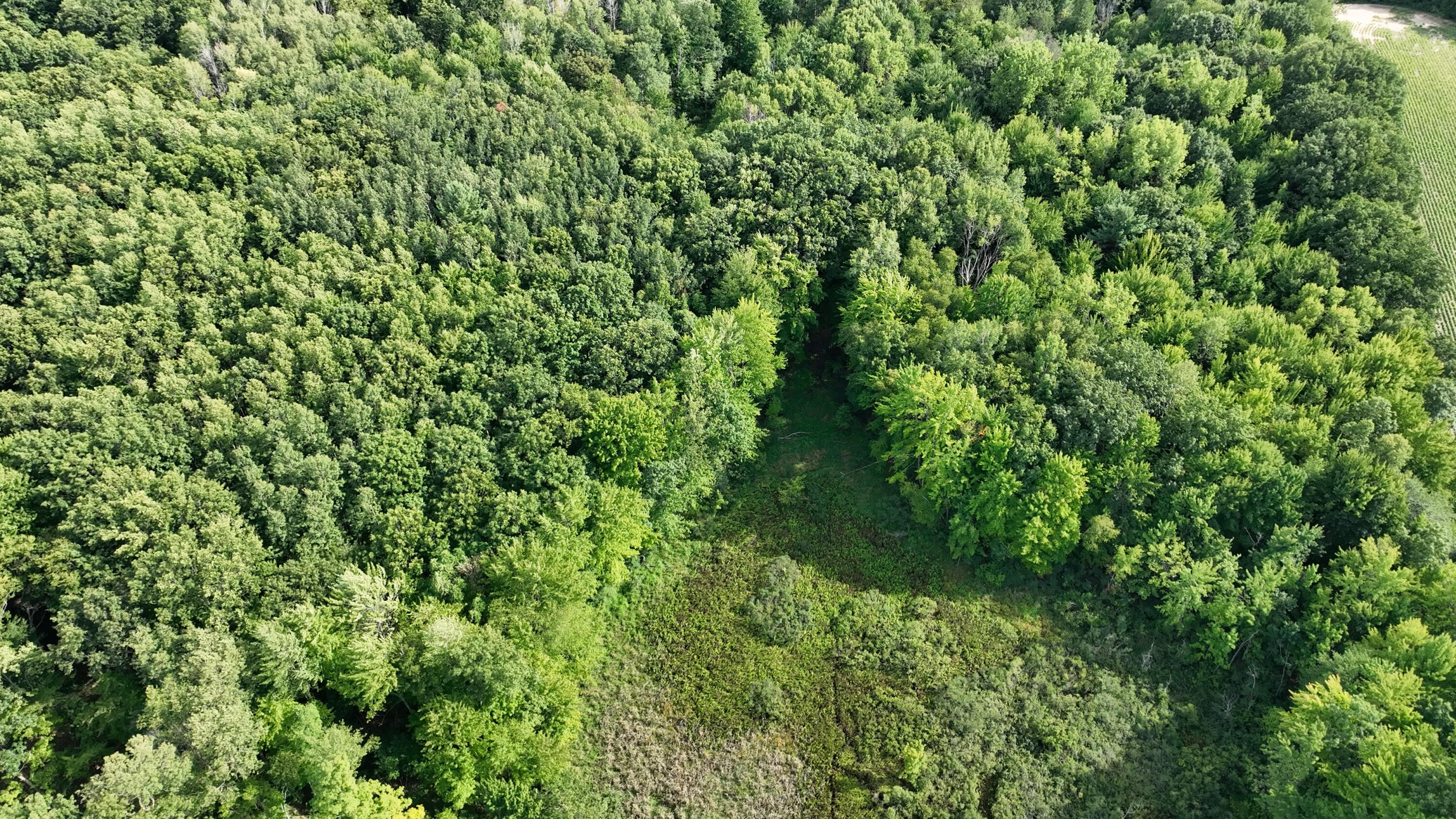 14308 Church Road Howard City, MI 49329 - Photo 14 of 33 DJI_0424.MP4.00_00_04_04.Still002