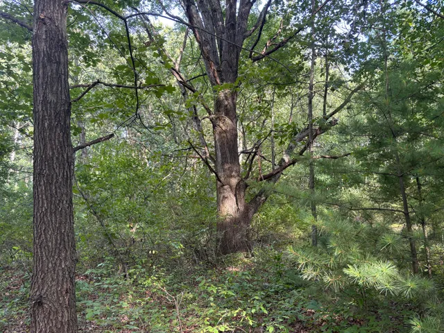 $525,000 | 14308 Church Road, Howard City, MI 49329