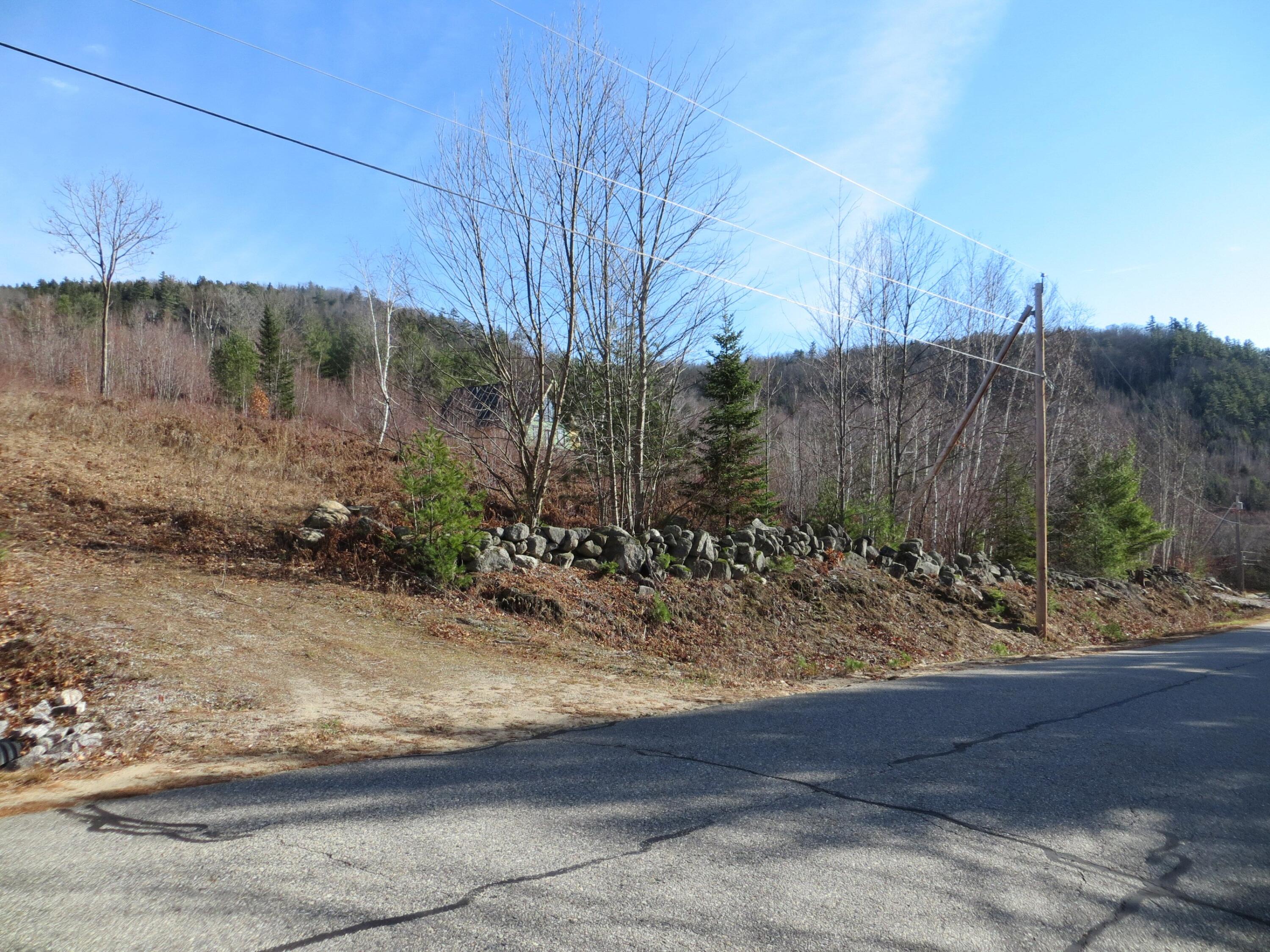 Lot #9 Taylor Smith Road Bethel, ME 04217 - Photo 7 of 22 Drive-Neighbor-Lot to Left