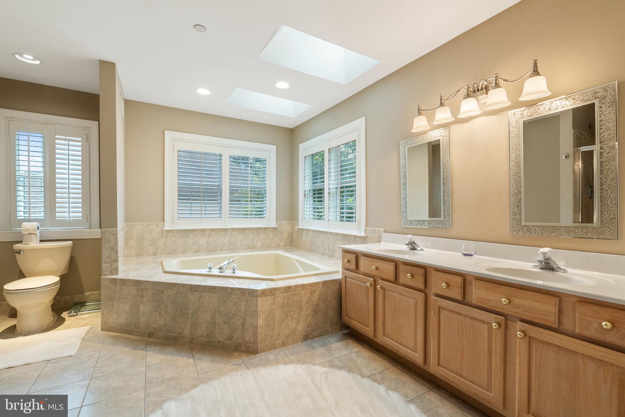 746 Kelli Lane Springfield, PA 19064 - Photo 22 of 35 Master bathroom with skylights