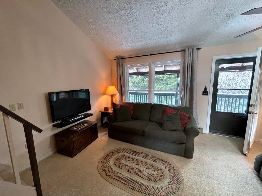 59 Ridgewood Street Snowshoe, WV 26209 - Photo 11 of 20 Gallery Image 11