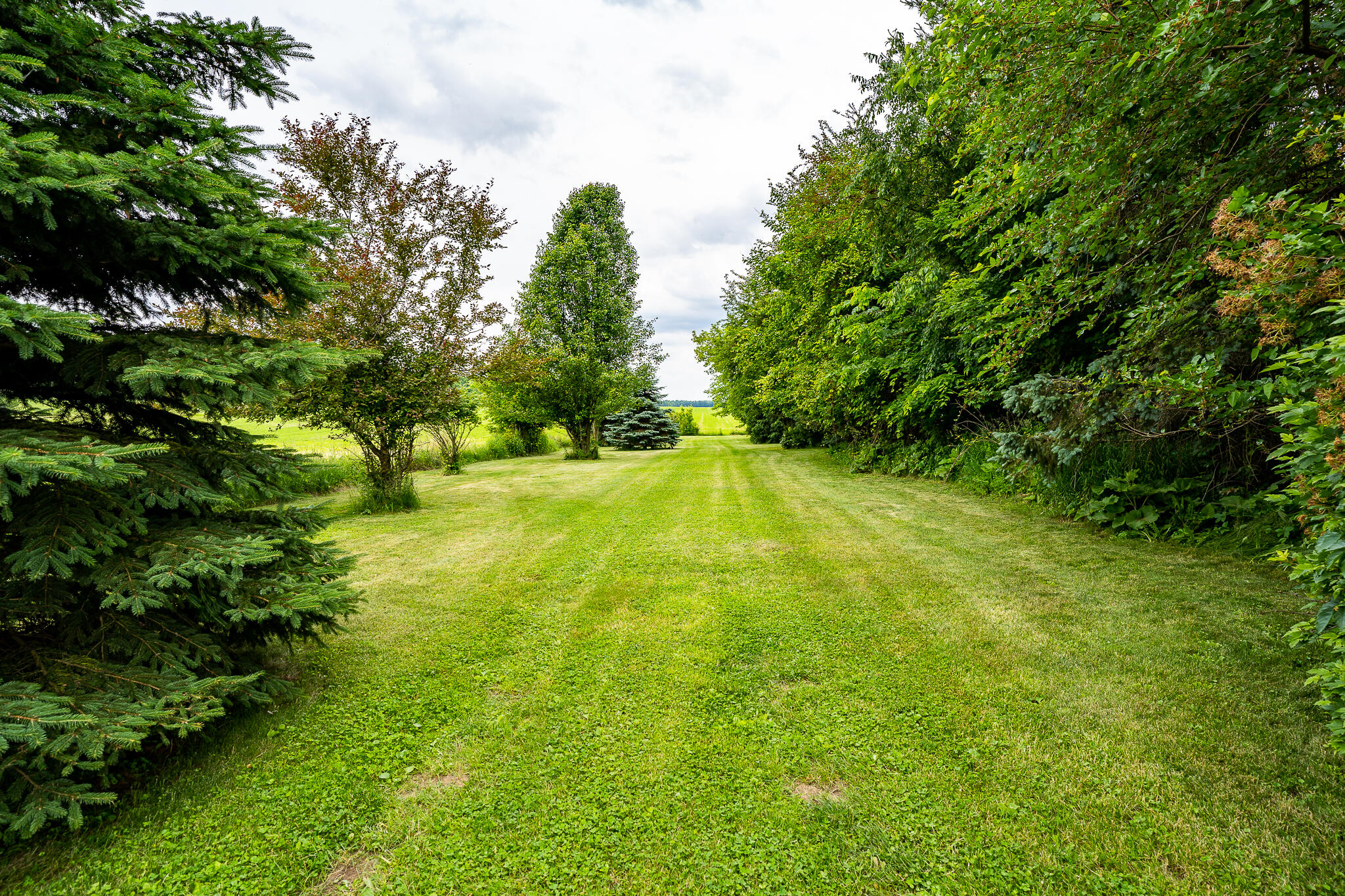 10771 Horn Road Reading, MI 49274 - Photo 31 of 41 A7309238