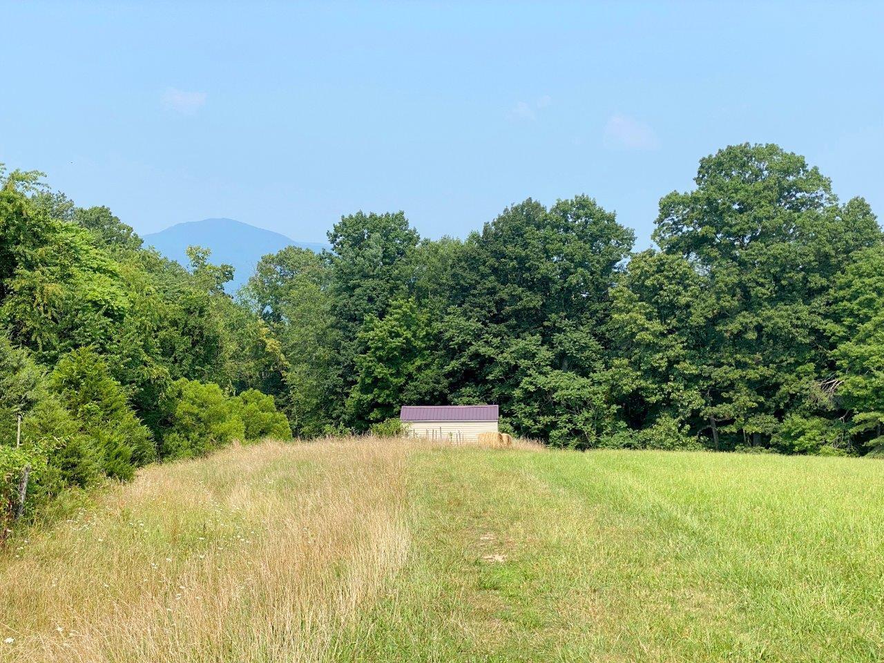 Lot 3 Boones Mill Road Boones Mill, VA 24065 - Photo 2 of 12 Lot 3 -IMG_2967