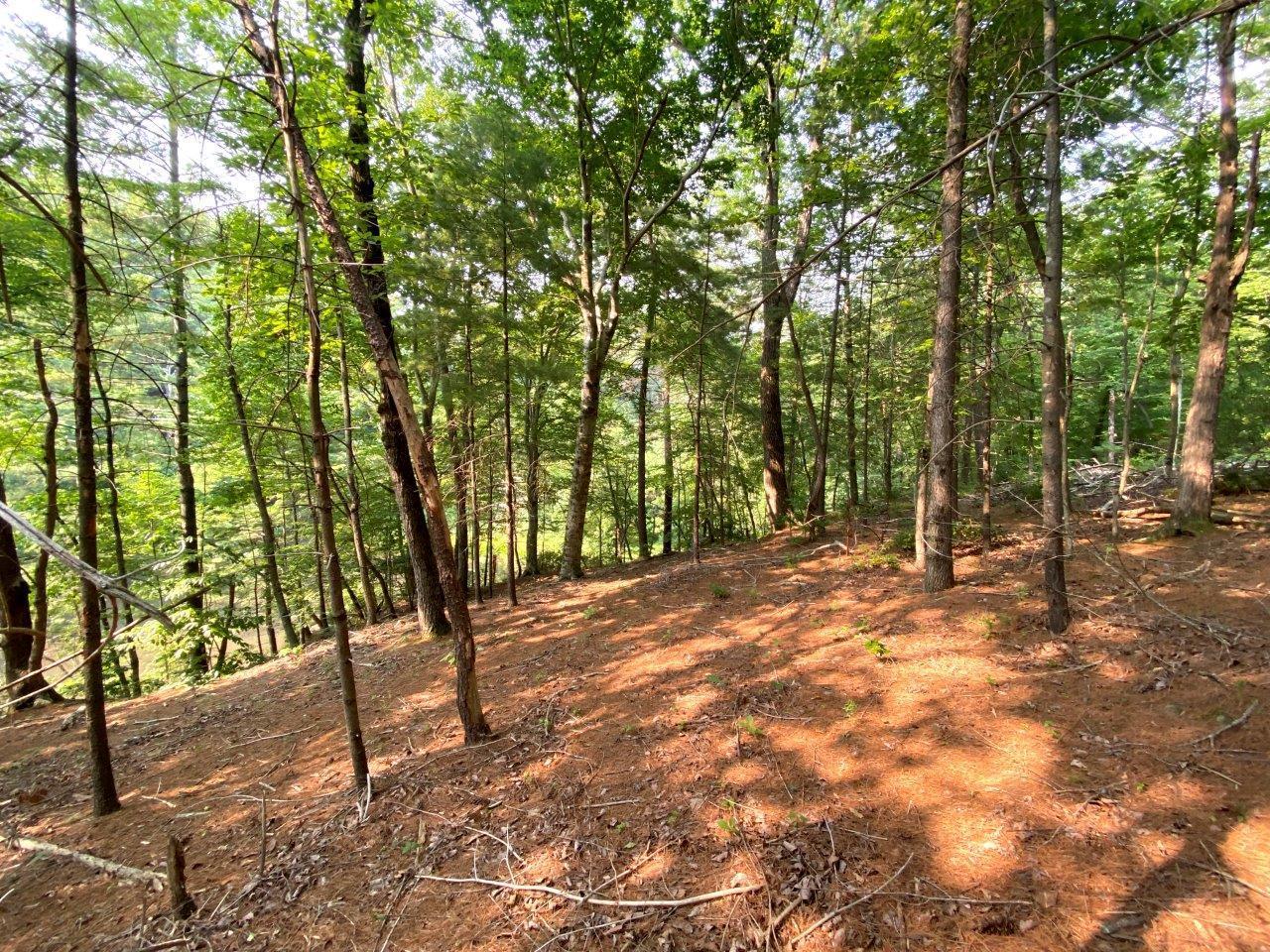 Lot 3 Boones Mill Road Boones Mill, VA 24065 - Photo 11 of 12 Lot 3 -IMG_3008