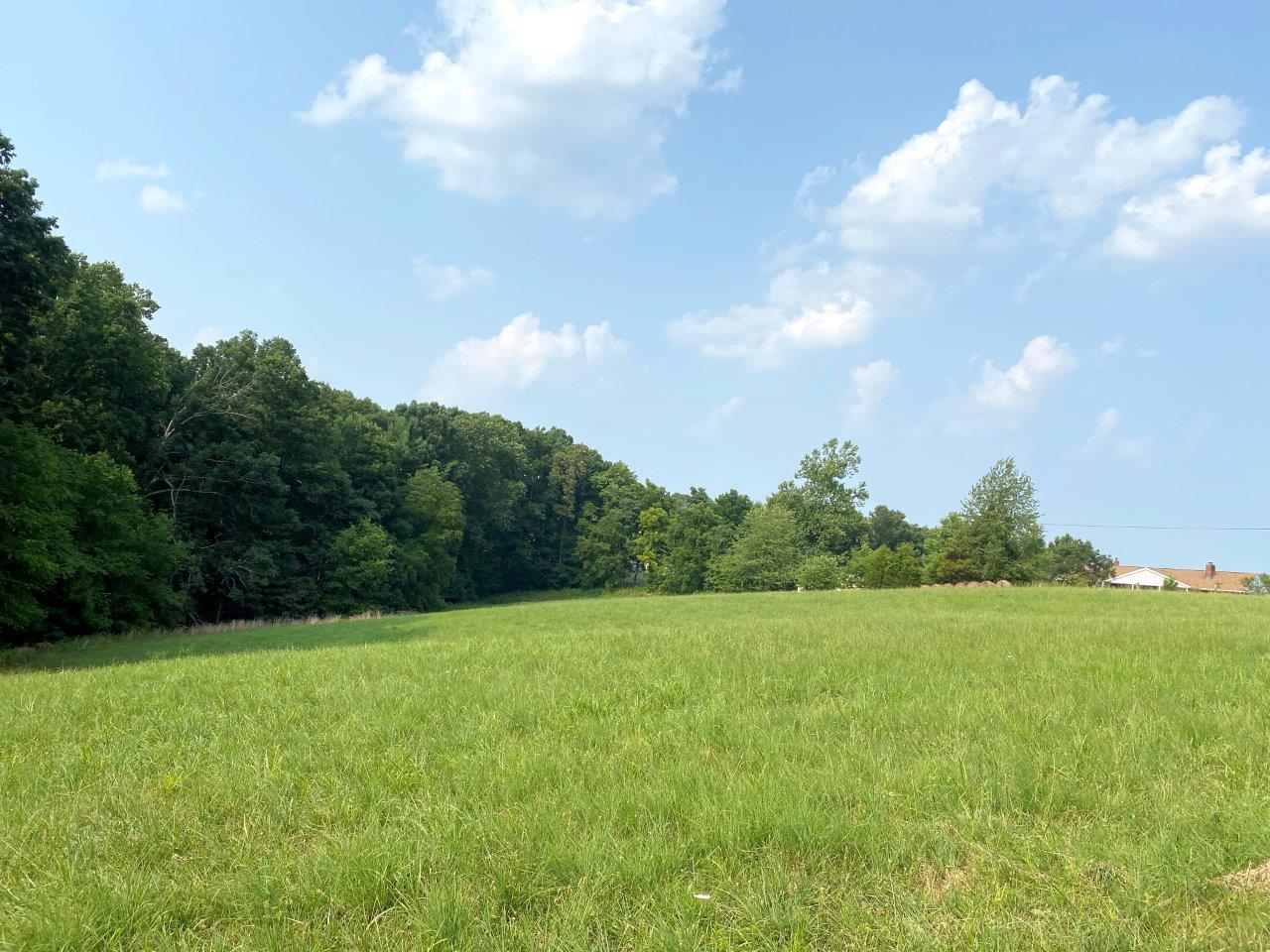 Lot 3 Boones Mill Road Boones Mill, VA 24065 - Photo 12 of 12 Lot 3 -IMG_3030