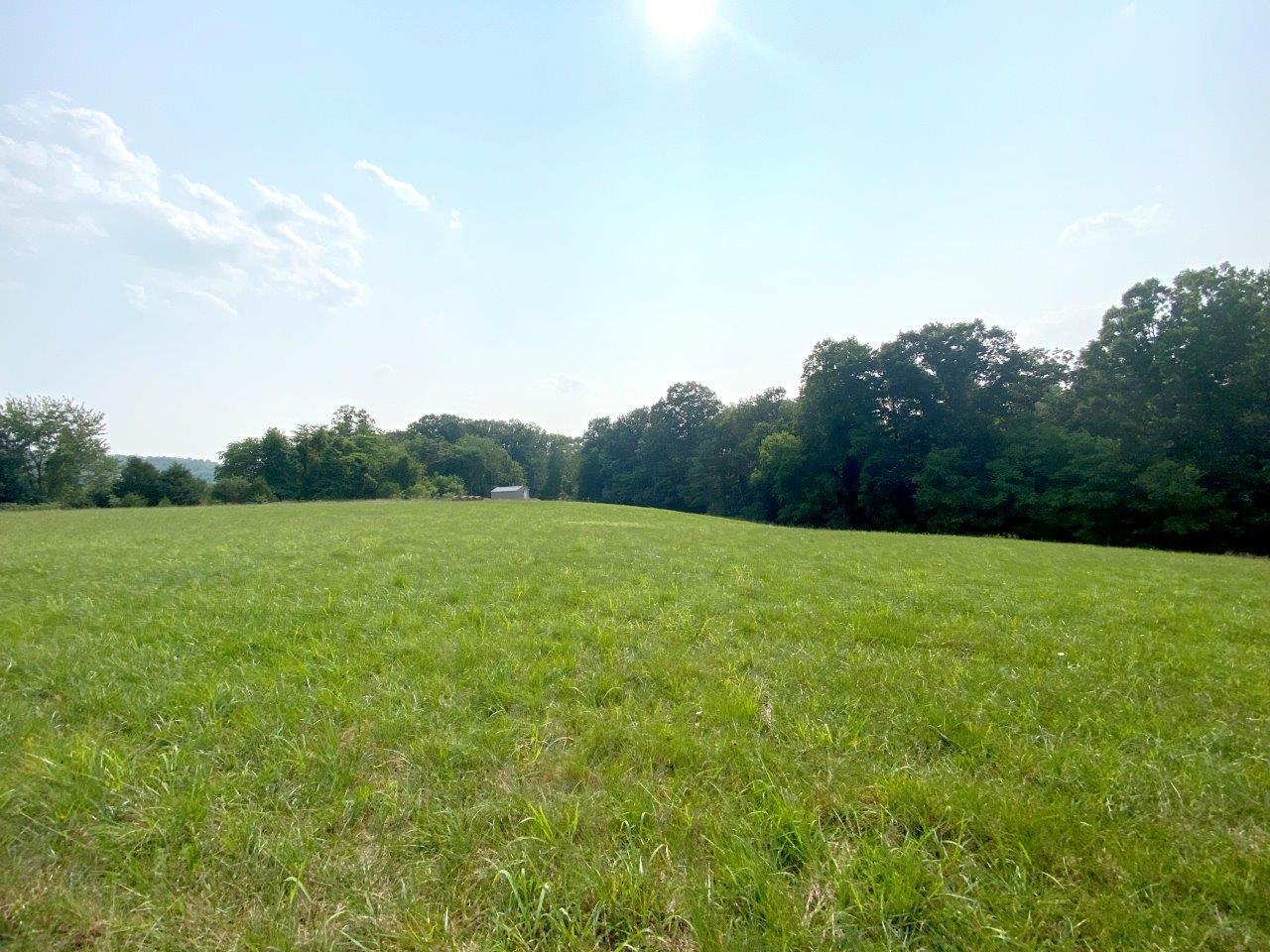 Lot 3 Boones Mill Road Boones Mill, VA 24065 - Photo 4 of 12 Lot 3 -IMG_2999