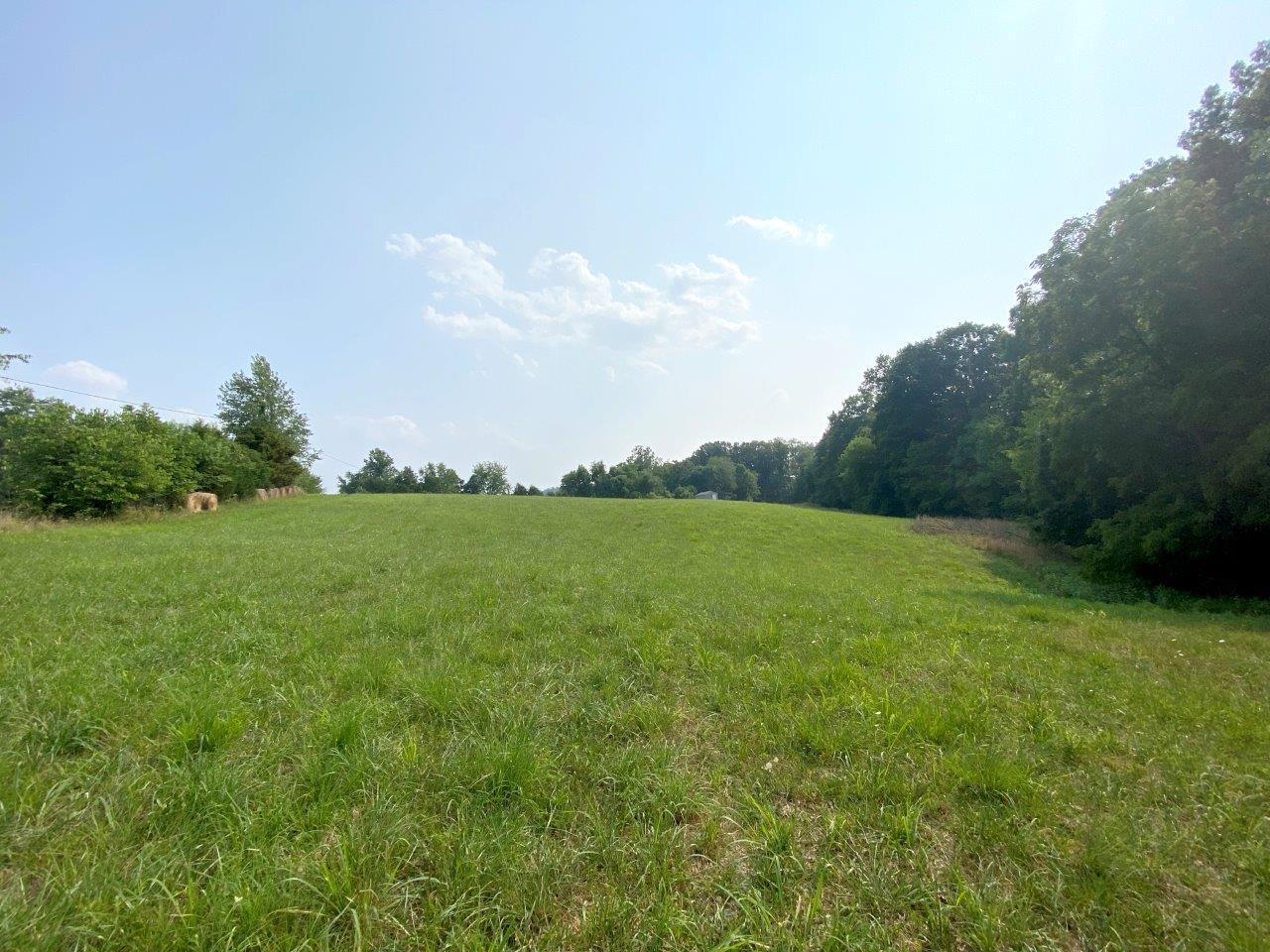 Lot 3 Boones Mill Road Boones Mill, VA 24065 - Photo 5 of 12 Lot 3 -IMG_3001