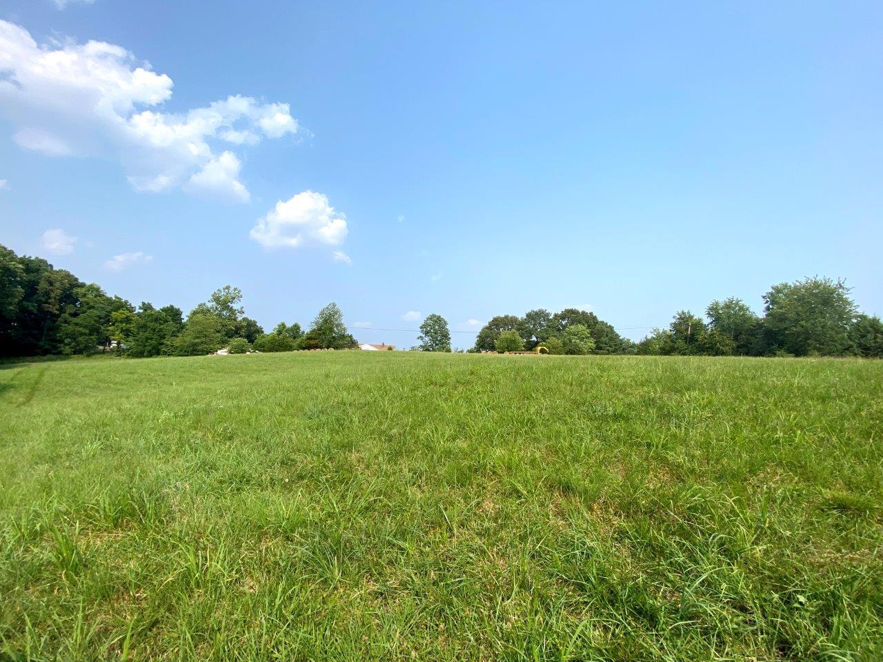 Lot 3 Boones Mill Road Boones Mill, VA 24065 - Photo 6 of 12 Lot 3 -IMG_3002