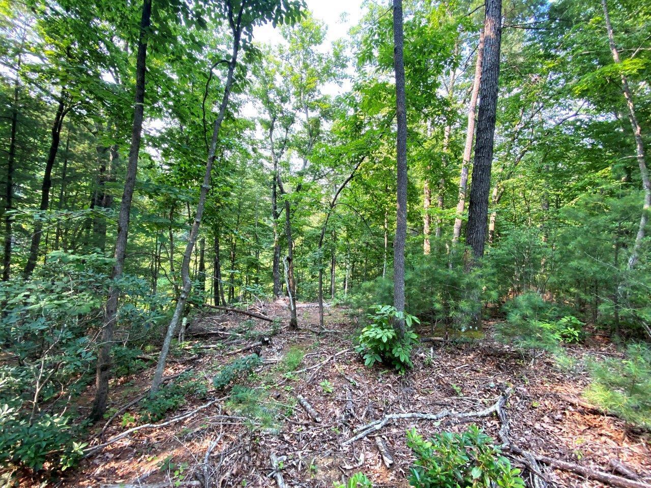 Lot 3 Boones Mill Road Boones Mill, VA 24065 - Photo 8 of 12 Lot 3 -IMG_3004