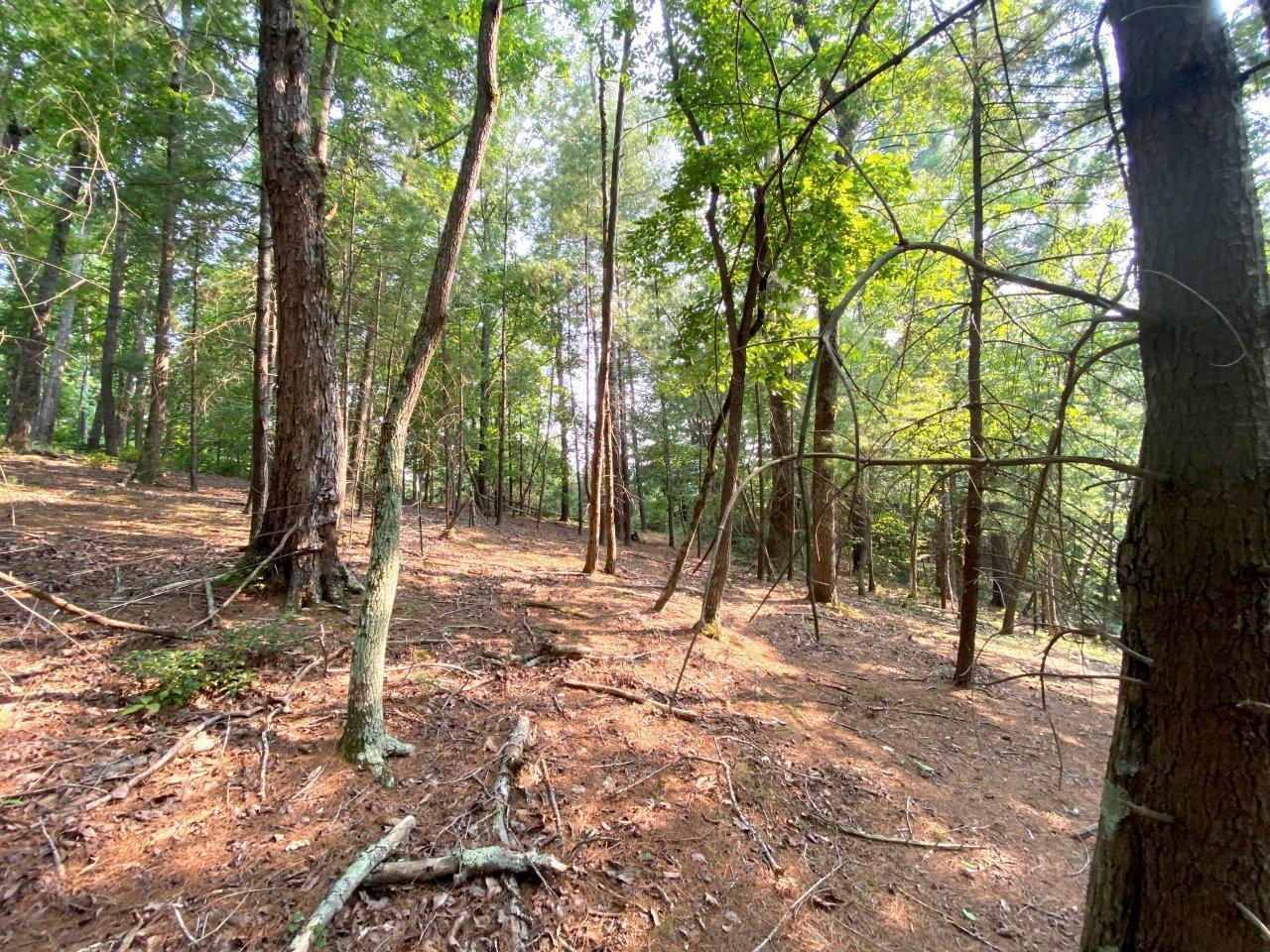 Lot 3 Boones Mill Road Boones Mill, VA 24065 - Photo 10 of 12 Lot 3 -IMG_3007