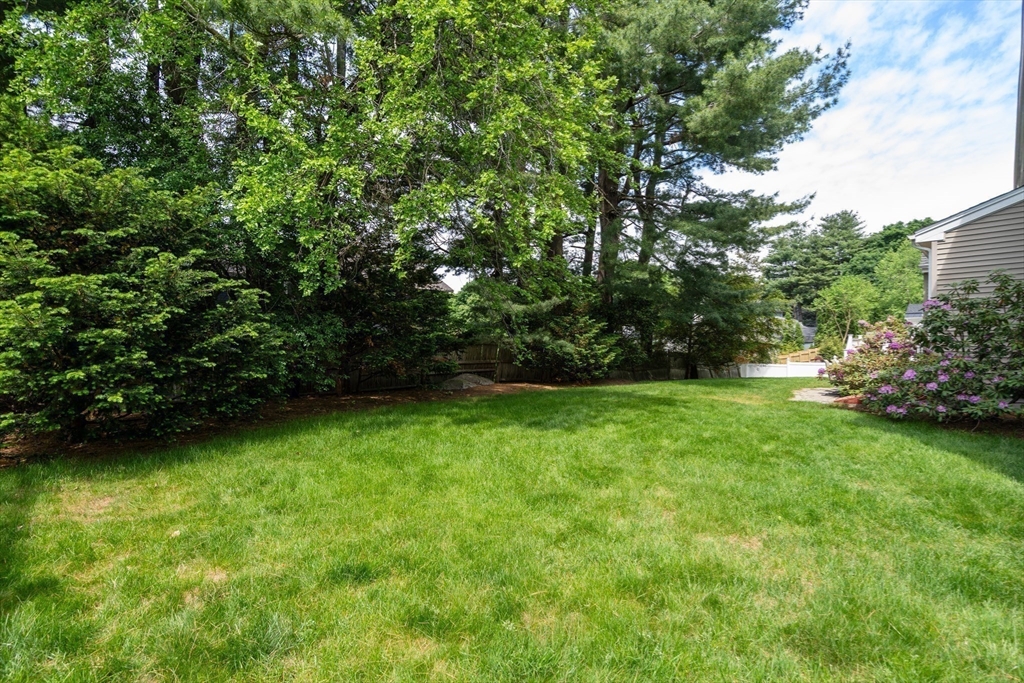 77 Cedar Street Wellesley, MA 02481 - Photo 37 of 39