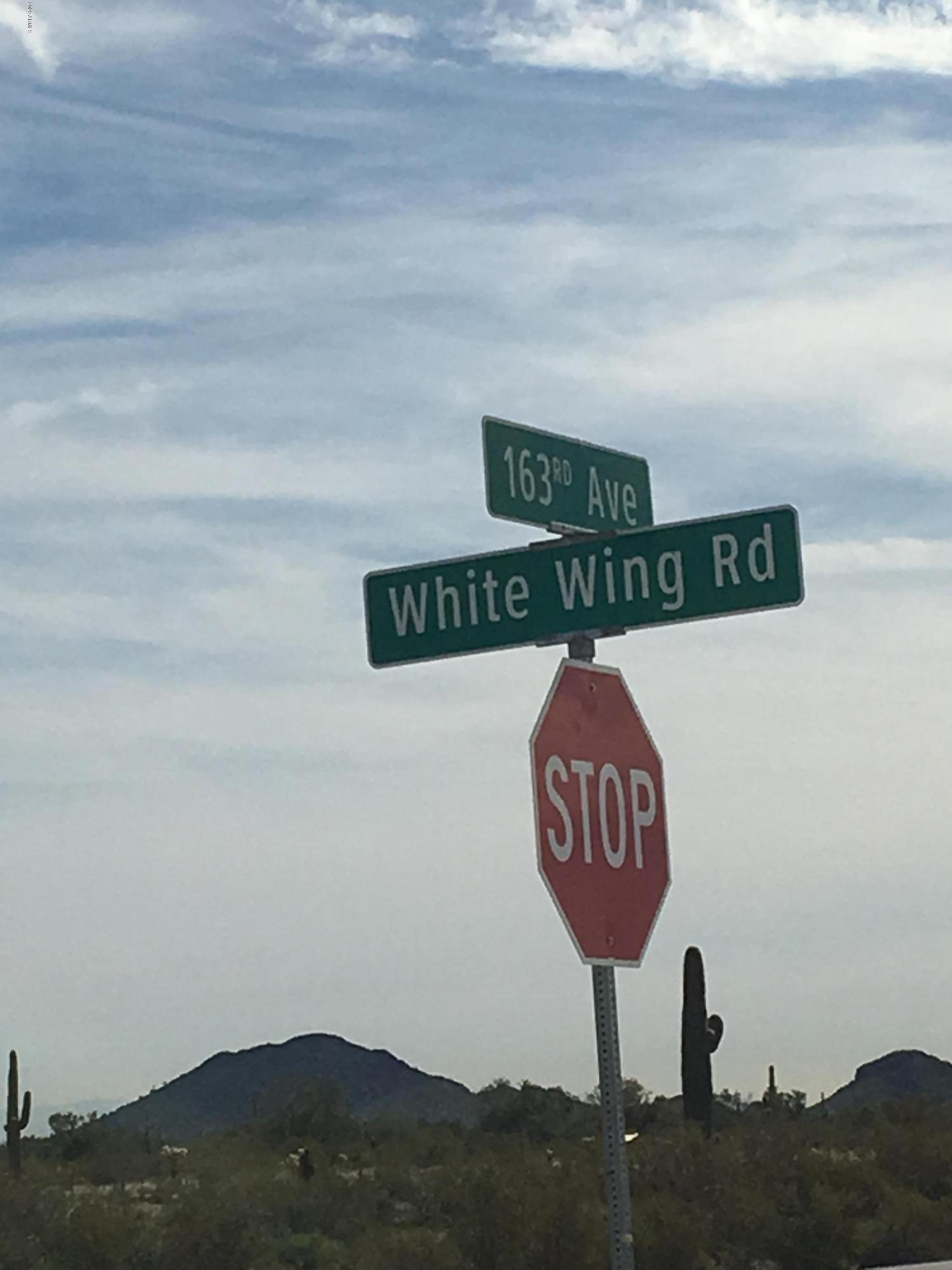 0 West White Wing Road, Unit 64 Surprise, AZ 85387 - Photo 2 of 10 image3 (17)