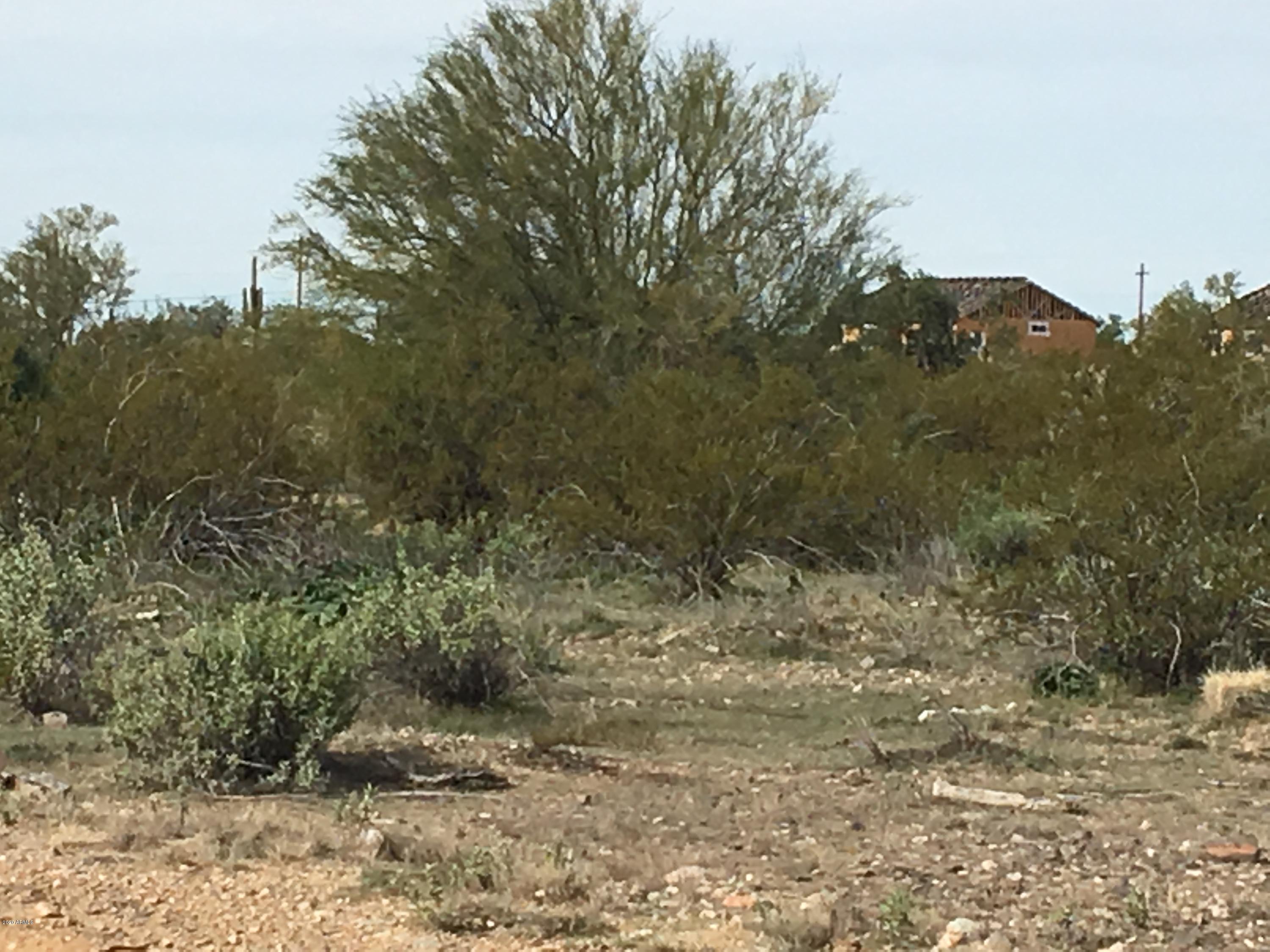 0 West White Wing Road, Unit 64 Surprise, AZ 85387 - Photo 7 of 10 image3 (18)