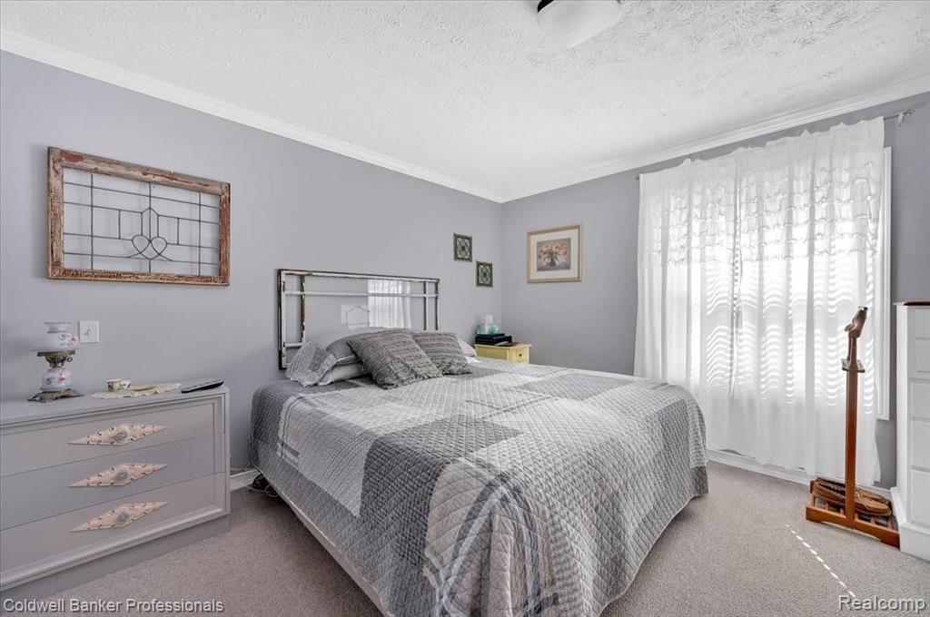 4007 Jones Road North Branch, MI 48461 - Photo 35 of 54