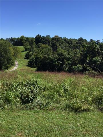 0 Vandergriff Hollow Road Dowelltown, TN 37059 - Photo 2 of 8 Gallery Image 2