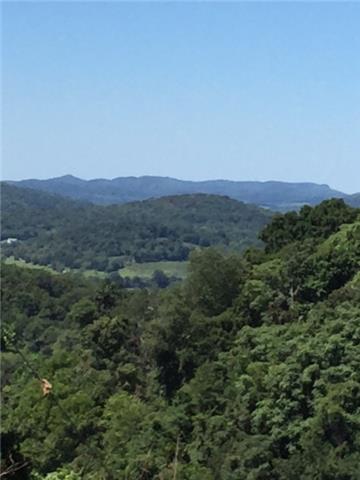 0 Vandergriff Hollow Road Dowelltown, TN 37059 - Photo 3 of 8 Gallery Image 3