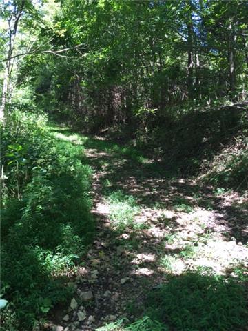 0 Vandergriff Hollow Road Dowelltown, TN 37059 - Photo 5 of 8 Gallery Image 5