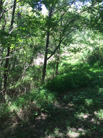 0 Vandergriff Hollow Road Dowelltown, TN 37059 - Photo 6 of 8 Gallery Image 6
