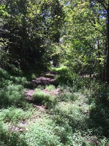 0 Vandergriff Hollow Road Dowelltown, TN 37059 - Photo 7 of 8 Gallery Image 7