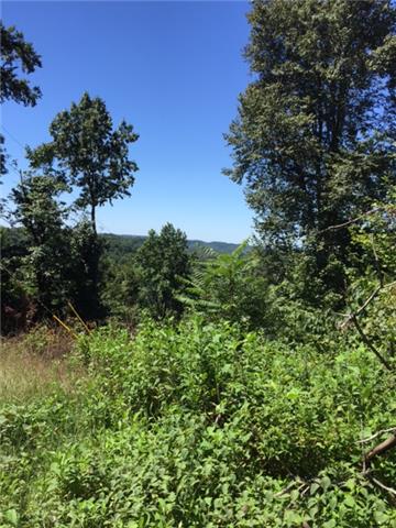 0 Vandergriff Hollow Road Dowelltown, TN 37059 - Photo 8 of 8 Gallery Image 8
