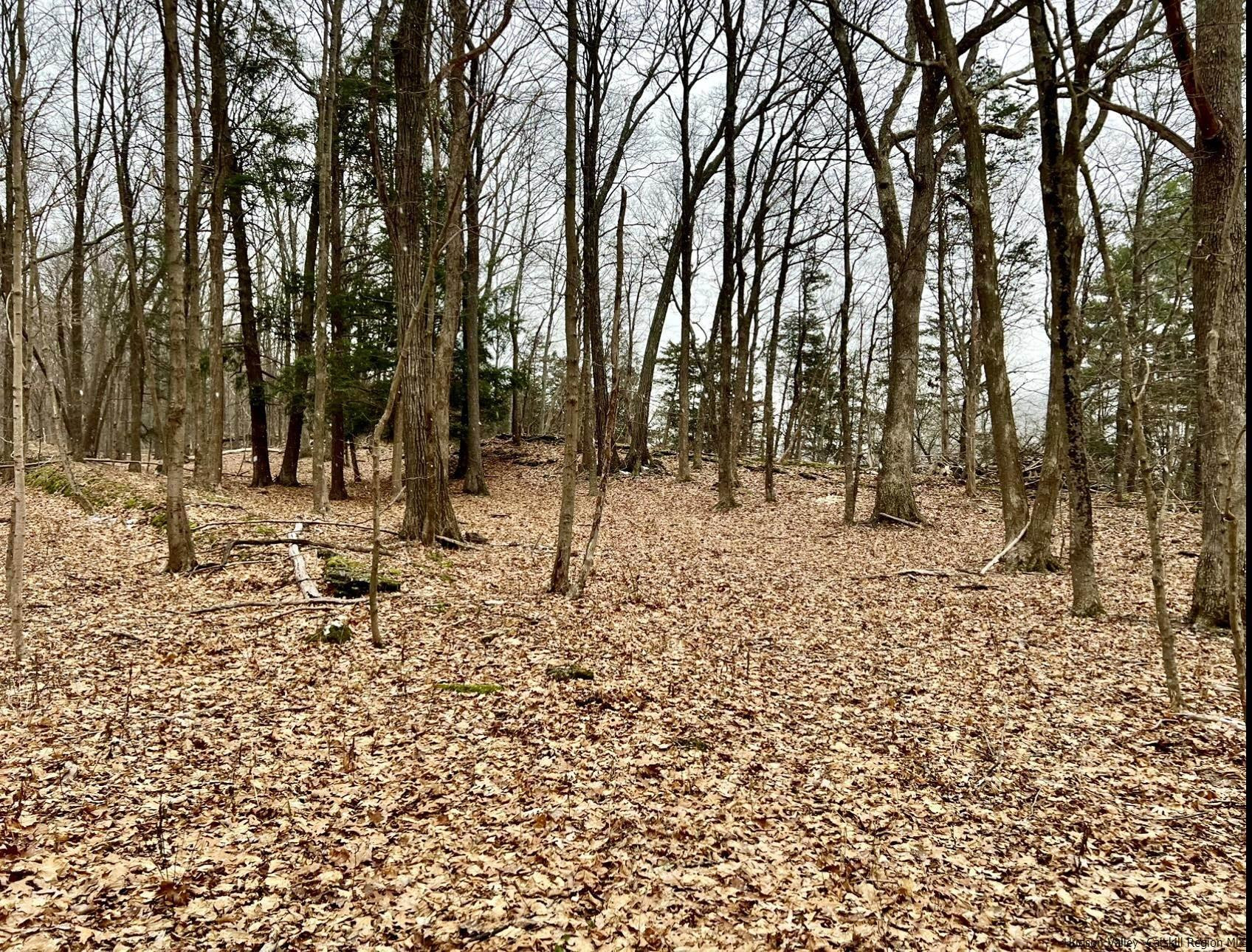 Tbd Dedrick Road Catskill, NY 12414 - Photo 1 of 14 a view of a yard covered with snow