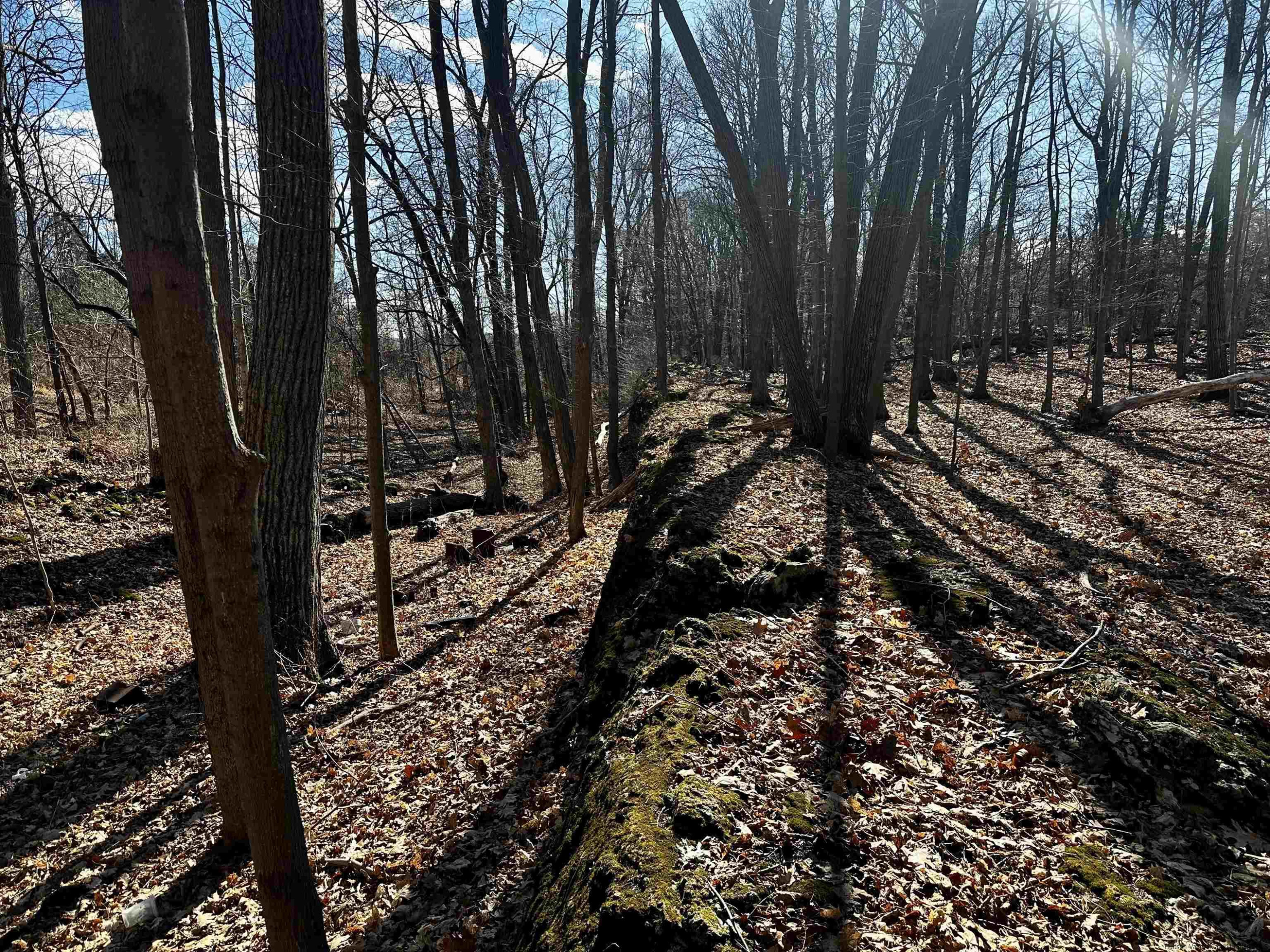 Tbd Dedrick Road Catskill, NY 12414 - Photo 11 of 14 a view of outdoor space with trees