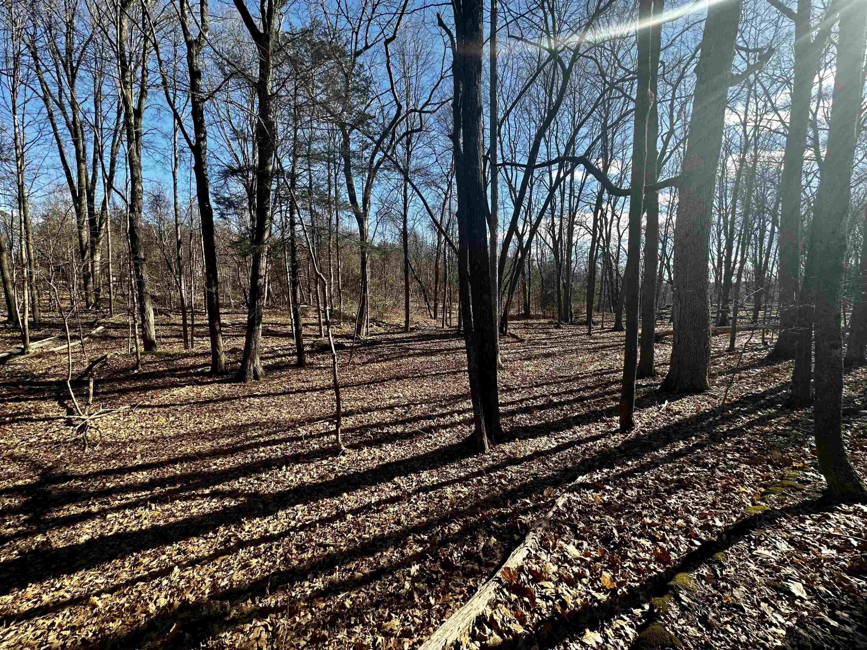 Tbd Dedrick Road Catskill, NY 12414 - Photo 12 of 14 a view of a yard with wooden fence