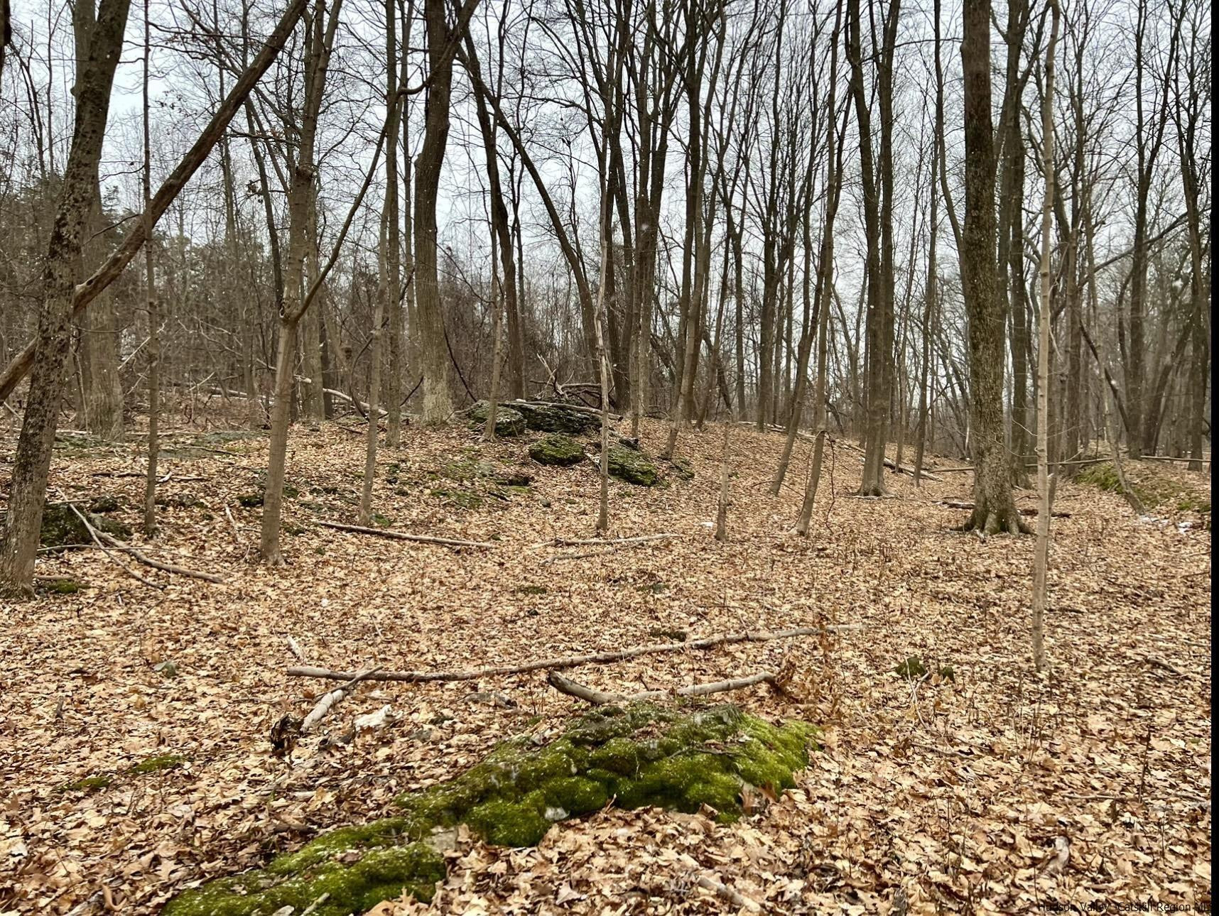 Tbd Dedrick Road Catskill, NY 12414 - Photo 2 of 14 a view of covered with snow