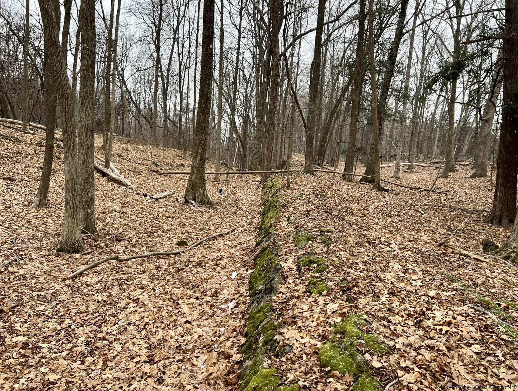 Tbd Dedrick Road Catskill, NY 12414 - Photo 3 of 14 a view of a yard with trees