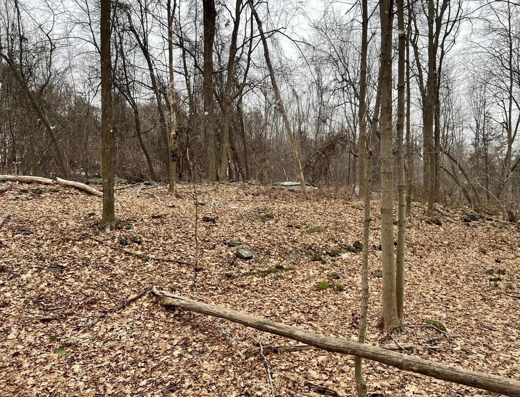 Tbd Dedrick Road Catskill, NY 12414 - Photo 4 of 14 a view of a yard covered in snow