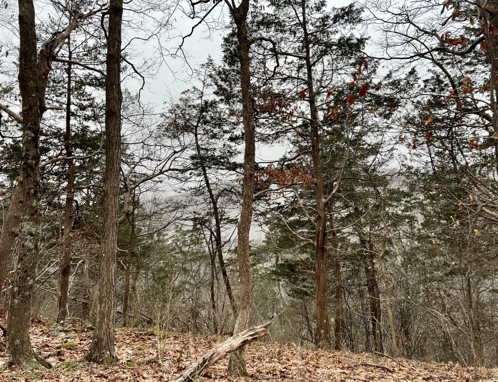 Tbd Dedrick Road Catskill, NY 12414 - Photo 6 of 14