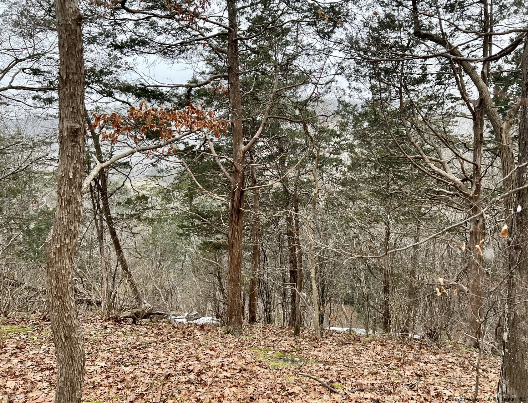 Tbd Dedrick Road Catskill, NY 12414 - Photo 7 of 14 a view of a yard with trees